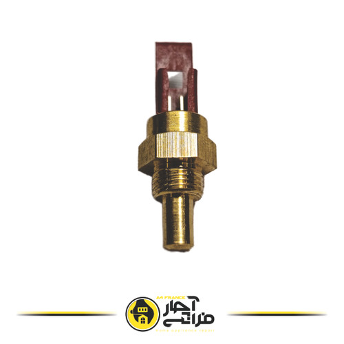 Iran Radiator Package NTC Sensor